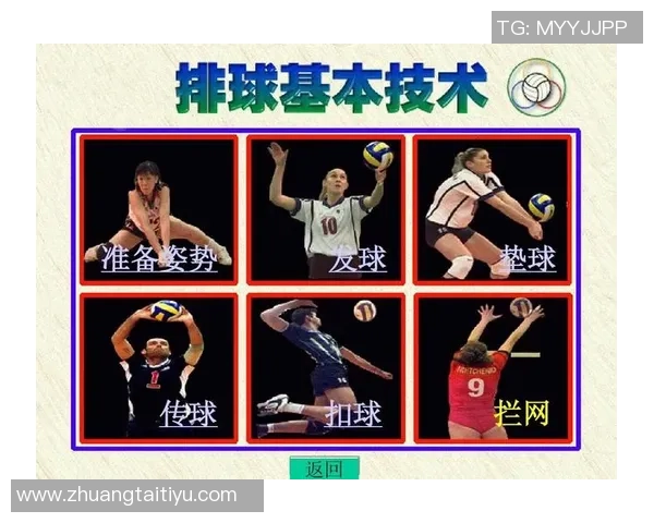 排球战术深度解析：走进杭州排球队的训练与比赛策略