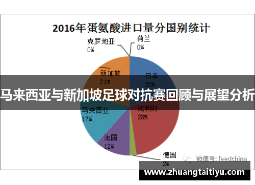 马来西亚与新加坡足球对抗赛回顾与展望分析